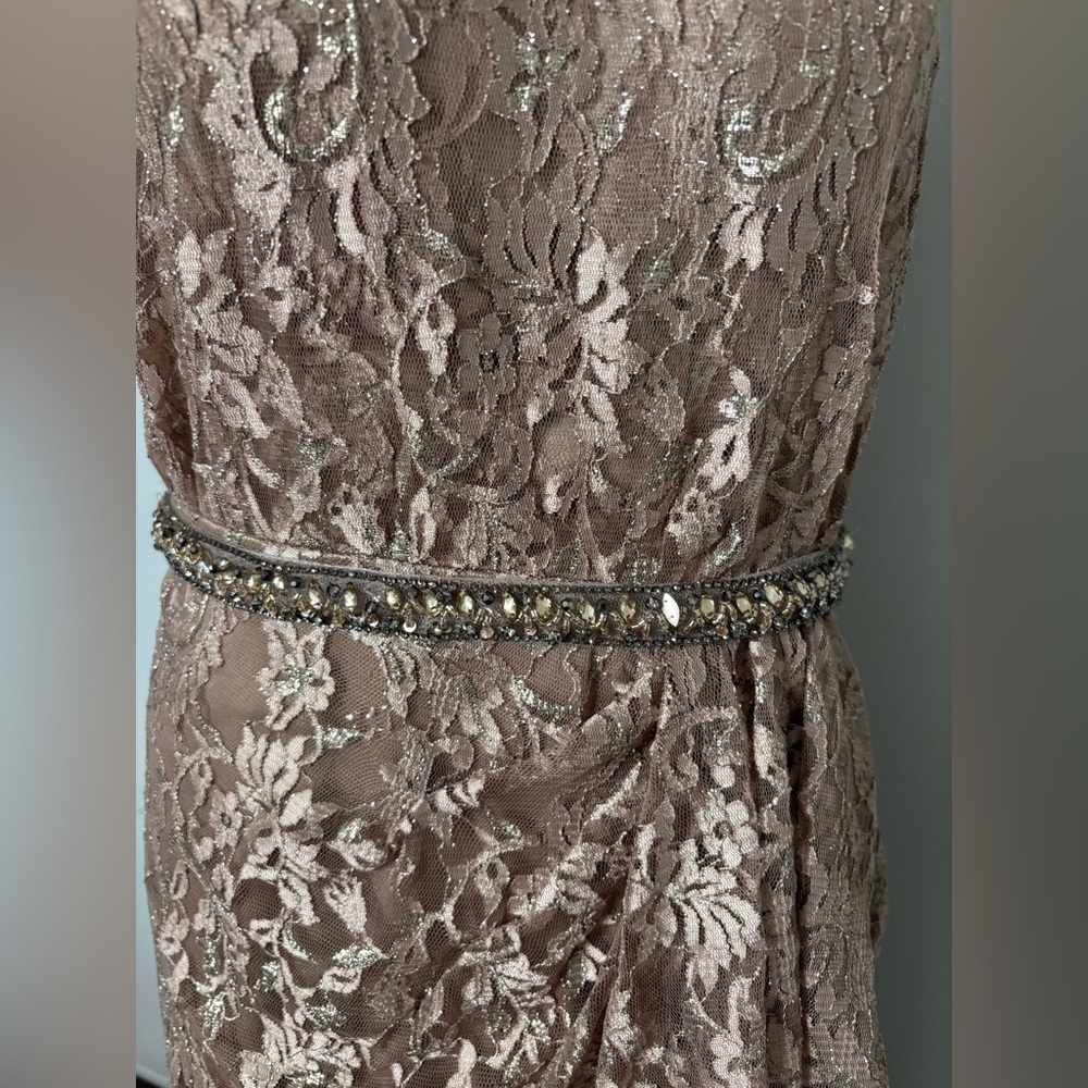 Cameron Blake Mother of the Bride Elegant Lace and Bead Trim Dress Sz 10 - Picture 9 of 15